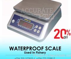 portable table top weighing wash down Scale-stainless steel