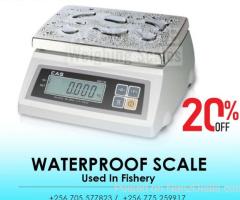 digital Waterproof Food Service Scale - Accurate suppliers