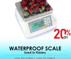 Aqua proof table top scale weighing scales 15kg capacity