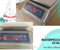 durable and water-resistant wash down weighing scale