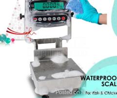 table top rustproof weighing scales for seafood markets use