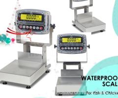 fish food processing factories digital weighing scales