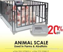 500kg electronic animal floor cattle weighing scale for sale