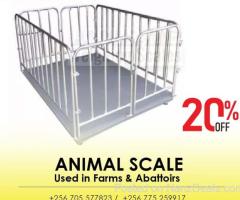 Digital weighing indicator goat farming animal scale