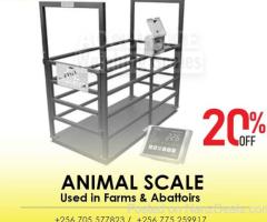 Livestock weighing scales in the agricultural industry