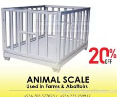 Digital Animal Floor Weighing Scales Pig Sheep Cattle Horse