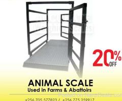 digital animal weighing scale easy use stainless steel indicator at supplier shop Kampala