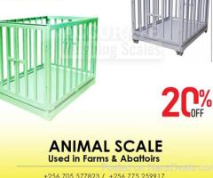 Harvester Livestock type weighing scales with dust proof plugs for trade in Uganda