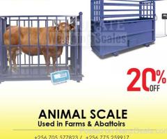 best quality heavy duty animal weighing scale with touch screen display for business