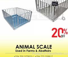 3000kg capacity heavy duty digital animal weighing scale for buffalo for sell by importer Uganda