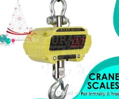 Heavy duty crane weighing scales of different models at affordable prices