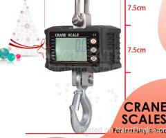 heavy duty digital crane weighing scale with portable Bluetooth printer from sole distributor uganda