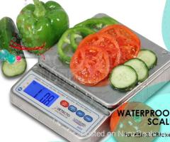 digital Heavy-duty waterproof scale with Hygienic design