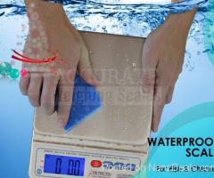 moisture and dirt proof weighing scale with digital display