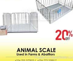 digital platform livestock farm veterinary 300kg 500kg 0.1kg