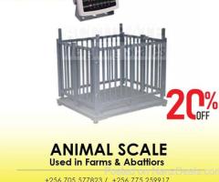 Digital Livestock Veterinary animal 500kg Platform Scale