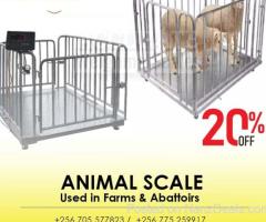 Sheep Horse Floor Scales Animal Livestock Weighing Scale