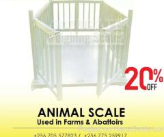 vet digital animal scale livestock scale for pig, sheep,cow