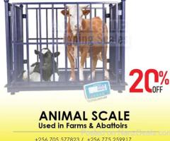 High-quality single animal weighing scales digital type