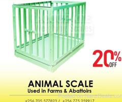 Livestock weighing scales in the agricultural industry