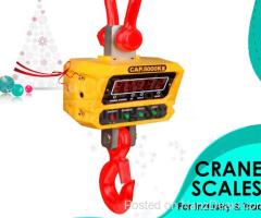 heavy duty digital crane weighing scale with portable Bluetooth printer from sole distributor uganda