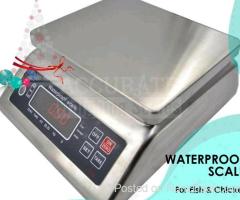 portable table top weighing wash down Scale-stainless steel