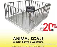 electronic animal floor cattle weighing scale indicator