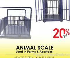 Digital Animal Floor Weighing Scales Pig Sheep Cattle Horse