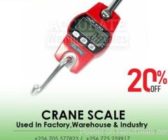 OCS-T-300kg Digital Hanging Scale