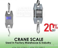 Rhorawill Crane Scale 300kgs Double Accuracy Electronic