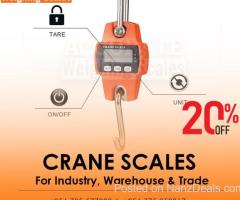 Mini Portable Crane hanging Scale LCD  Electronic