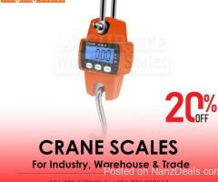 Portable Electronic Mini Crane weighting Scale