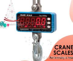 Mini Crane weighing Scale Portable Digital in Kampala