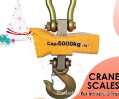 Mini Crane weighing Scale Portable Digital in Kampala