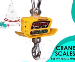 digital hanging scale - crane weighing scales Kampala