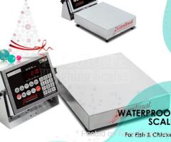 digital waterproof weight stainless steel scales 3kg