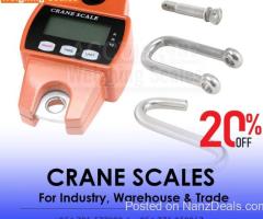 Mini Portable Crane weight Scale 300kg 0.1kg