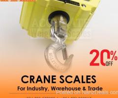 Electronic crane weighing scale convenient for use