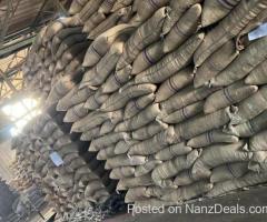 @#+27719755564 coffee beans ready for export