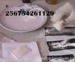 +256754261129..LATEST UNIVERSAL AUTOMATIC SSD SOLUTION AND ACTIVATING POWDER AVAILABLE