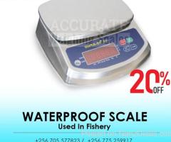 30kg digital weighing waterproof scale SuperSS Series