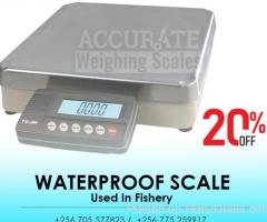 compact Waterproof Scale 30kg capacity digital type