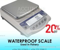 Electronic waterproof weighing scales Kampala  - Accurate