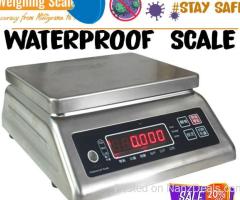 table top rustproof weighing scales for seafood markets use