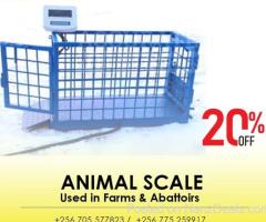 Livestock weighing scales in the agricultural industry