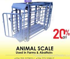 high-quality livestock animal weighing scales digital type