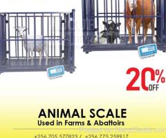 LCD display large digital animal weighing scale 1500kg