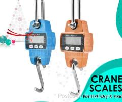 Mini Crane weighing Scale Industrial digital type in Kampala - 1